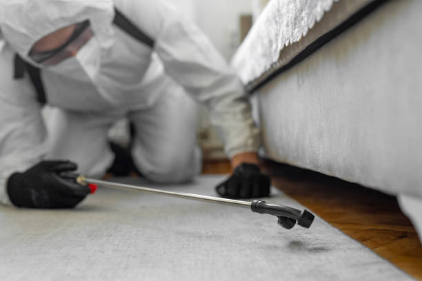 Professional Ant Control technician working in Combined Locks, WI