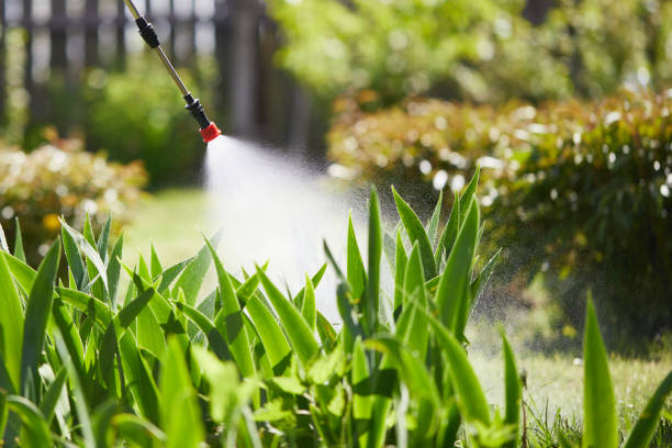 24/7 Emergency Mosquito Control experts in Combined Locks, WI