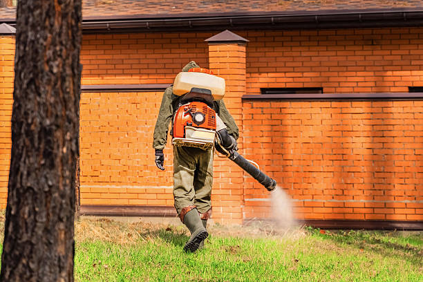 Top rated local Mosquito Control specialists in Combined Locks, WI